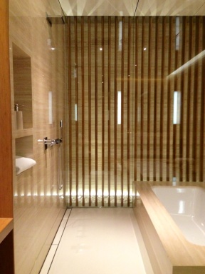 The open shower and bath area